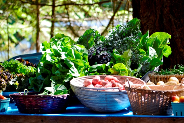 Hornby Island, Farmers Market