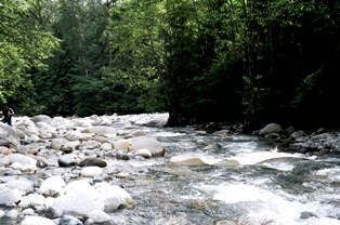 Lynn Canyon, Nord Vancouver