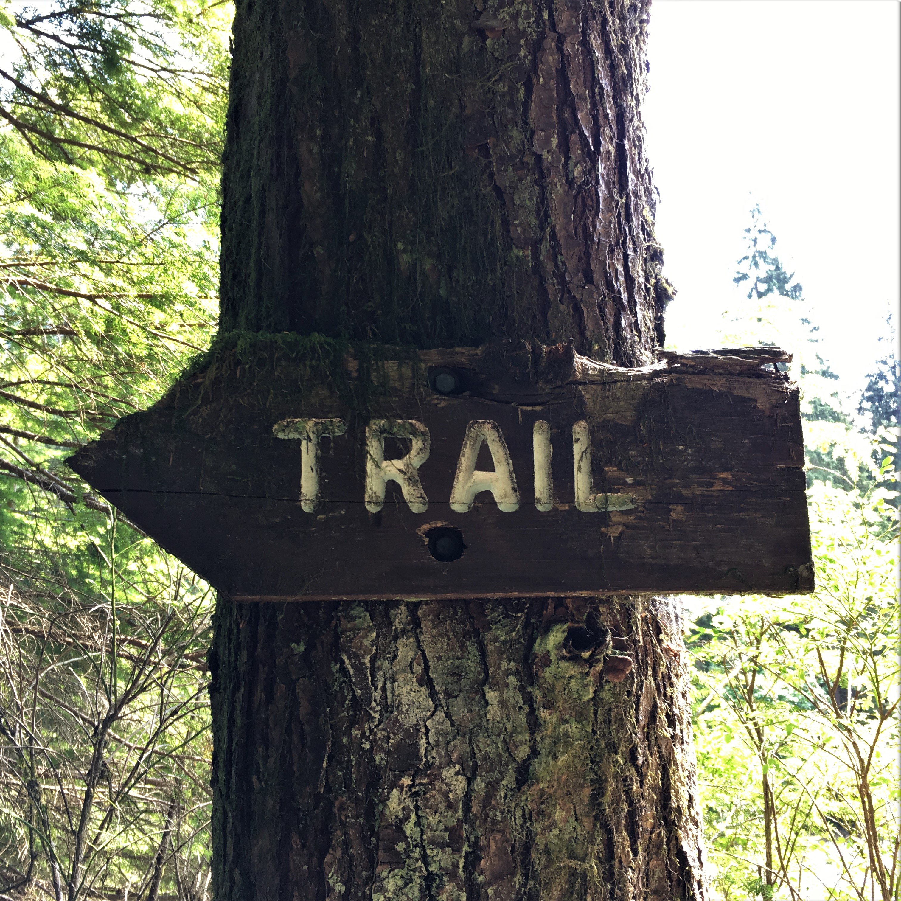 Widgeon Creek Wanderung