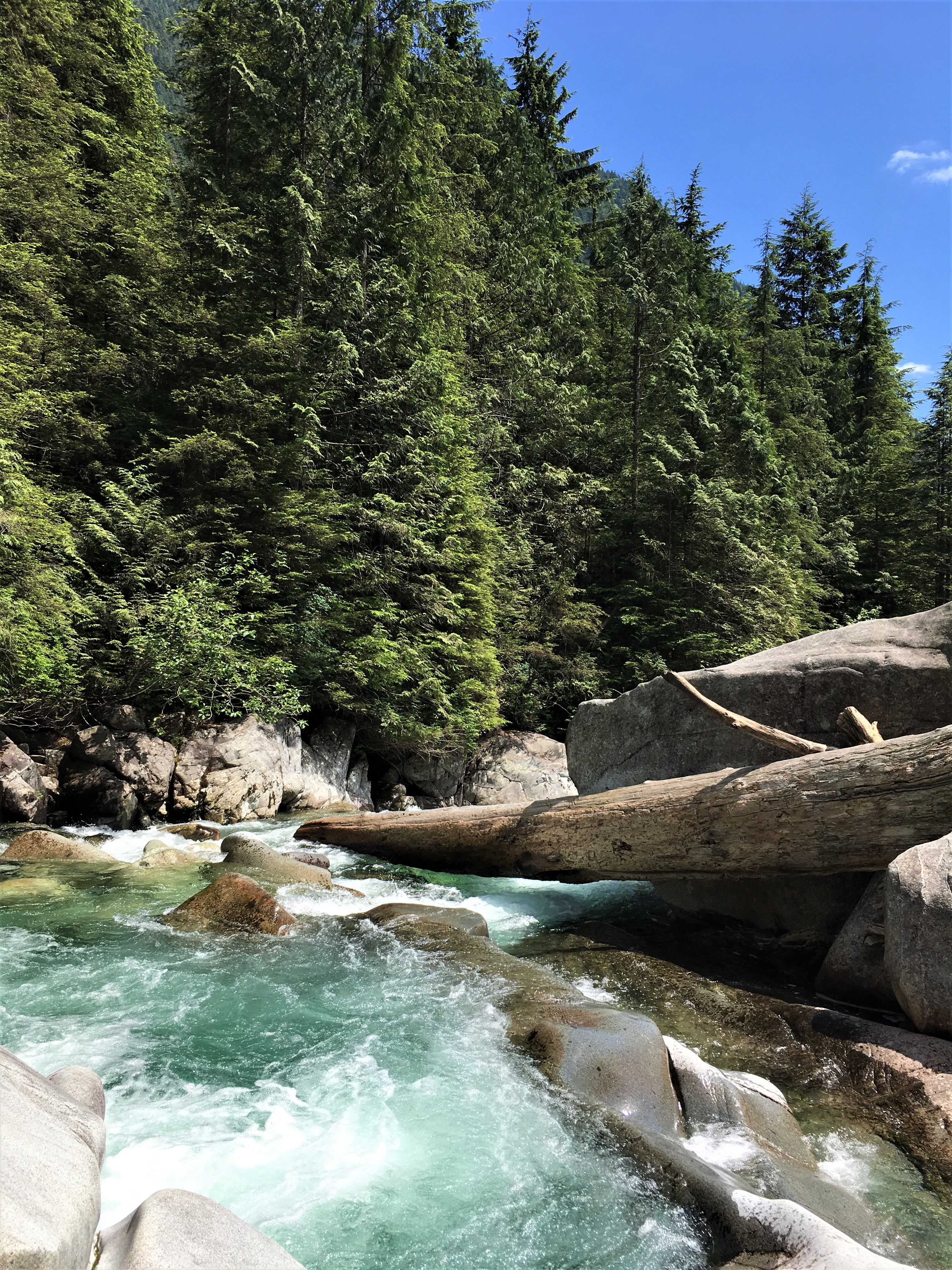 Widgeon Falls