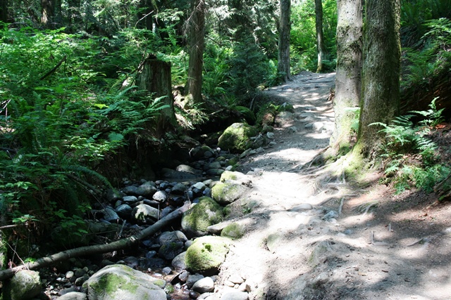 Burnaby Mountain Wanderweg