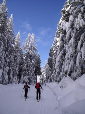 Cypress Mountain Langlauf