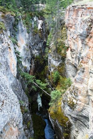 Maligne Canyon