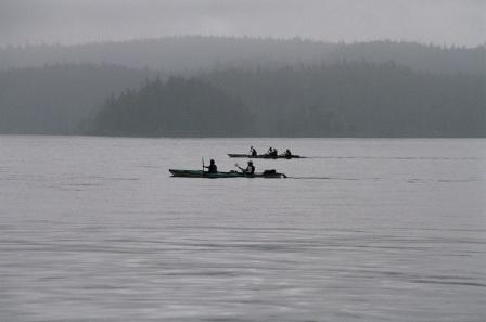 Telegraph Cove, Kajaker