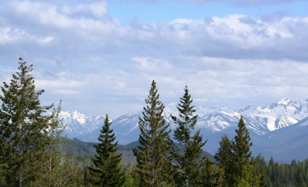 Kicking Horse, Ausblick