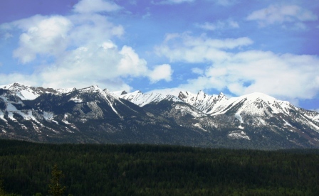 Kicking Horse, Golden