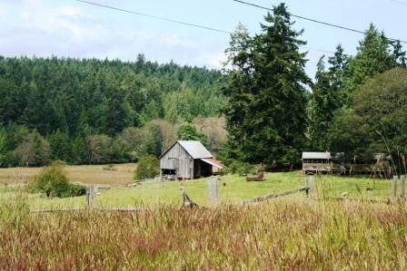 Salt Spring Island Farm