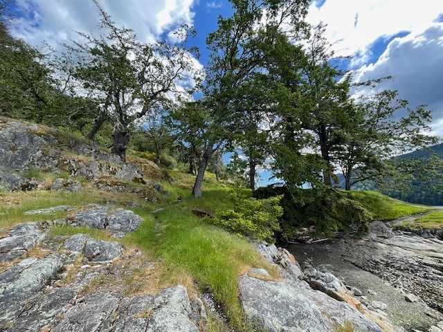 Salt Spring Island Hike
