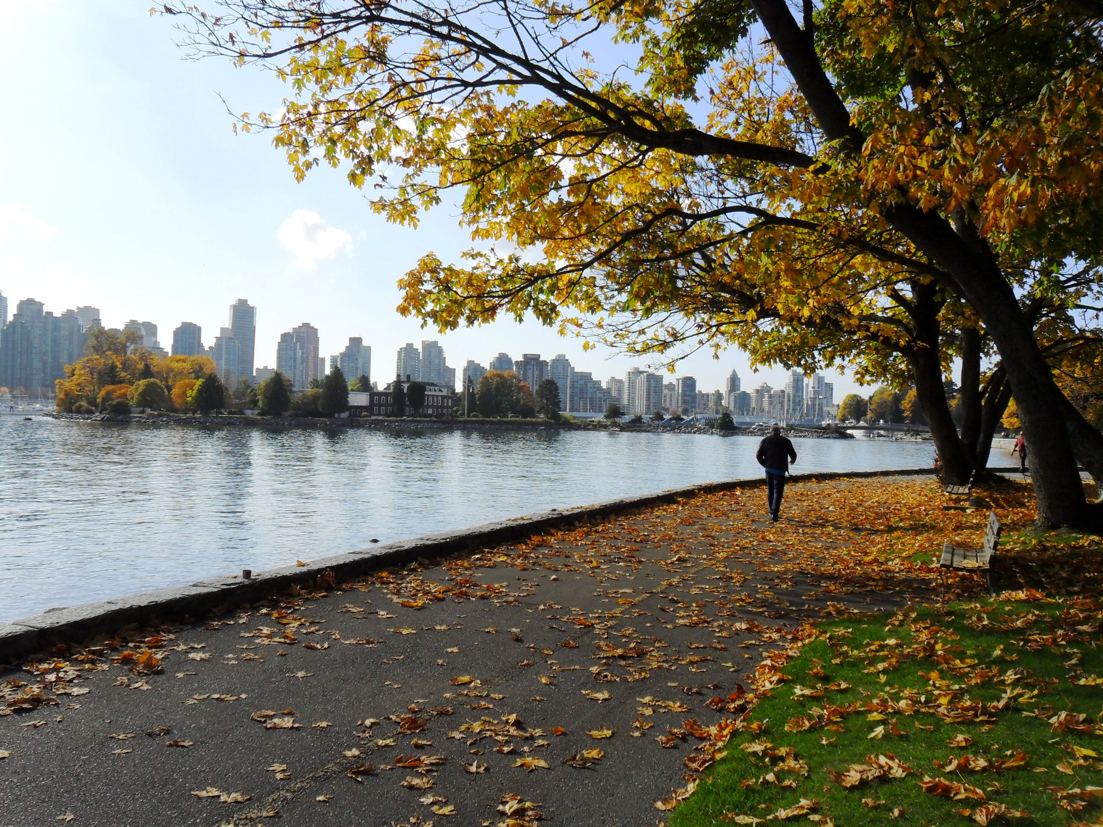 Stanley Park mit Blick auf Coal Harbour