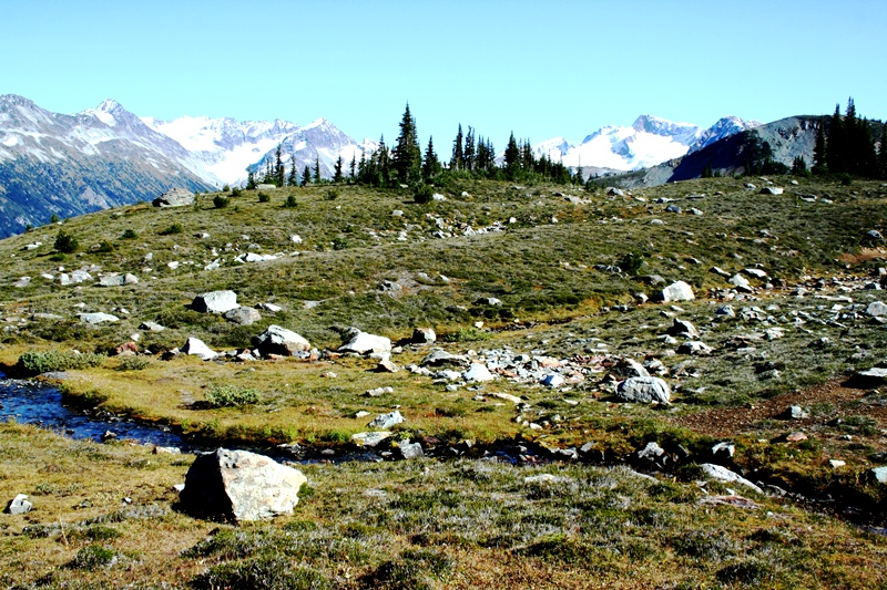 Whistler Mountain Top