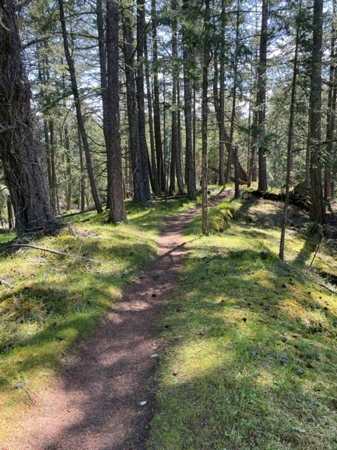 Bodega Ridge Provincial Park