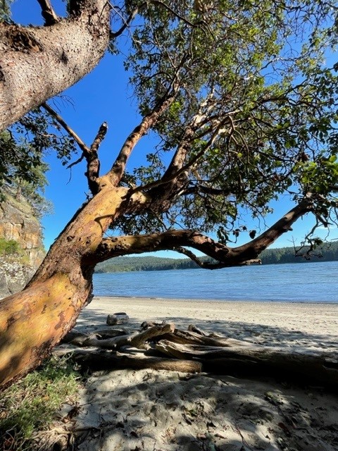 Matthews Shore Access