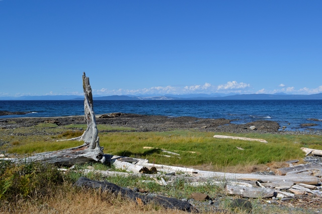 Hornby Island - Grassy Point