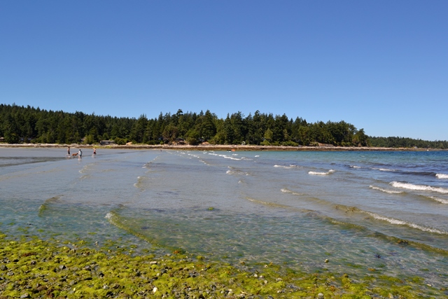 Whaler Station Beach, Hornby Island Whaler Station Beach, Hornby Island