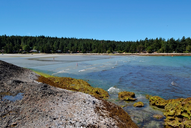 Whaling Station Beach