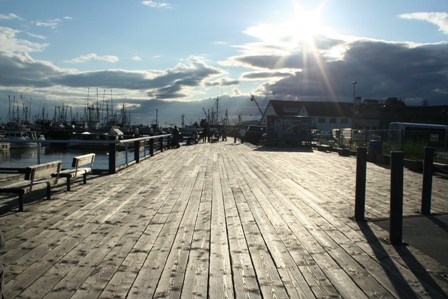 Steveston, Hafen