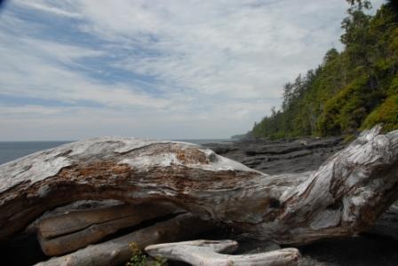 Juan de Fuca Trail