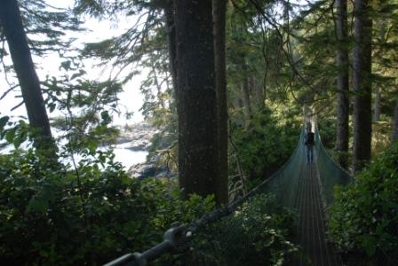 Juan de Fuca Trail, Haengebruecke