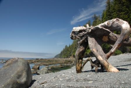 Juan d Fuca Trail, Strand