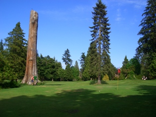 Pitch and Putt - Stanley Park