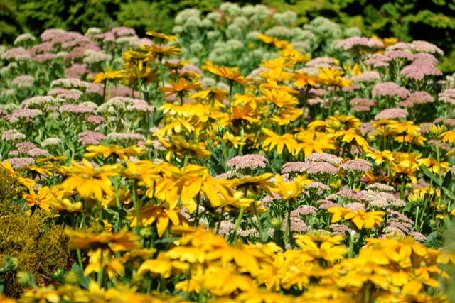 Queen Elizabeth Park, Gartenanlage