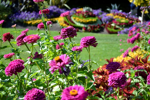 Queen Elizabeth Park, Gartenanlage