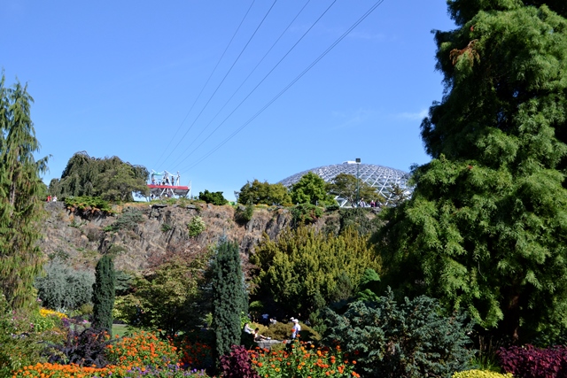 Queen Elizabeth Park, Zipline