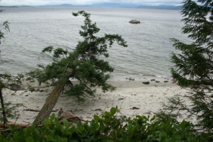 Savary Island Strand