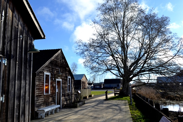 Steveston Britannia