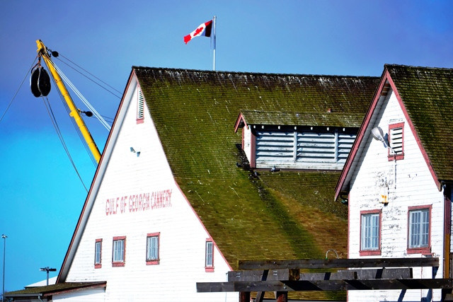 Steveston Cannery