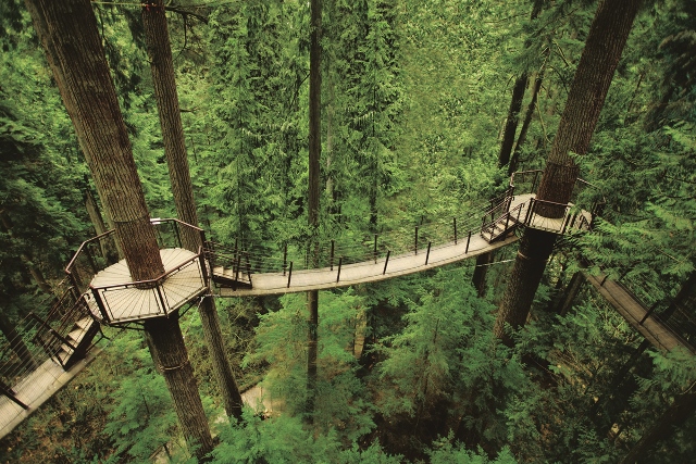 Capilano Park, Treetop Adventures