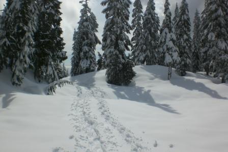 Cypress Mountain Schneeschuhlaufen