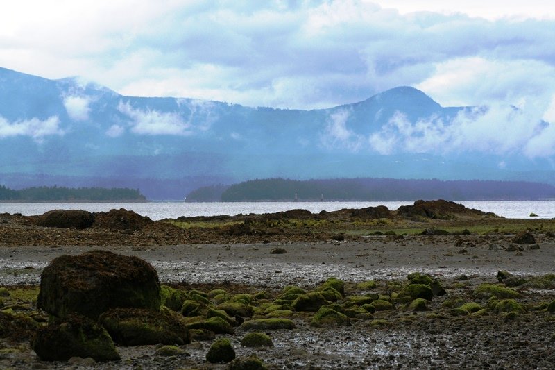 Ebbe - Salt Spring Island