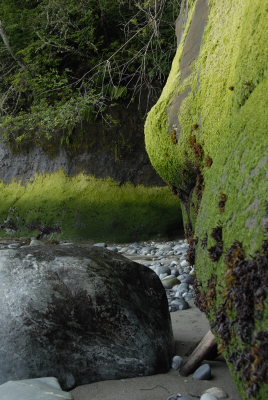 Juan de Fuca - felsiger Strand