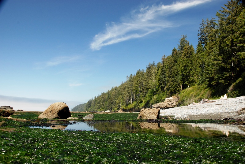 Juan de Fuca