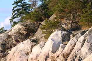 Lighthouse Park, Vancouver