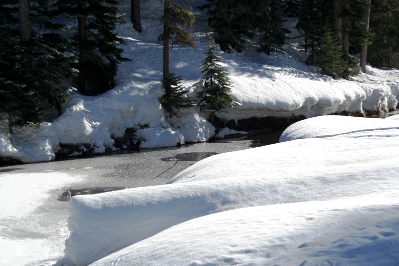 Manning Park Schnee