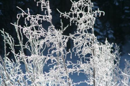 Winter in Manning Park