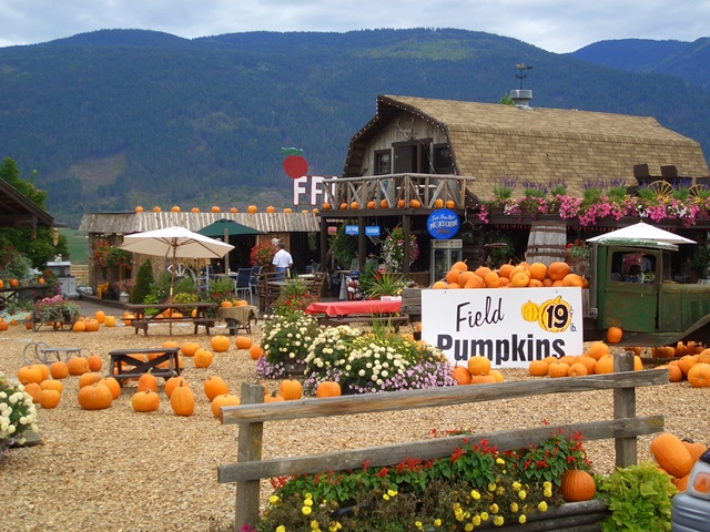 Okanagan im Herbst, Kürbisfarm