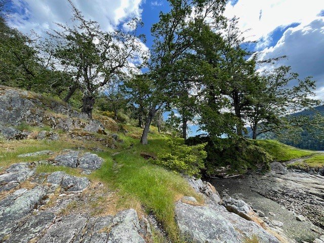 Salt Spring Island Hike