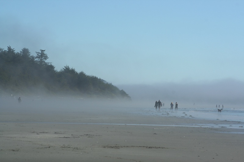 Morgennebel am Strand