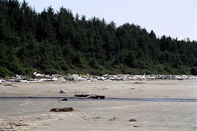 Tofino Strand