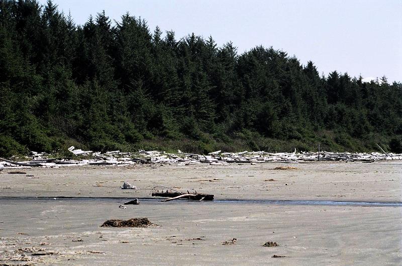 Tofino Strand