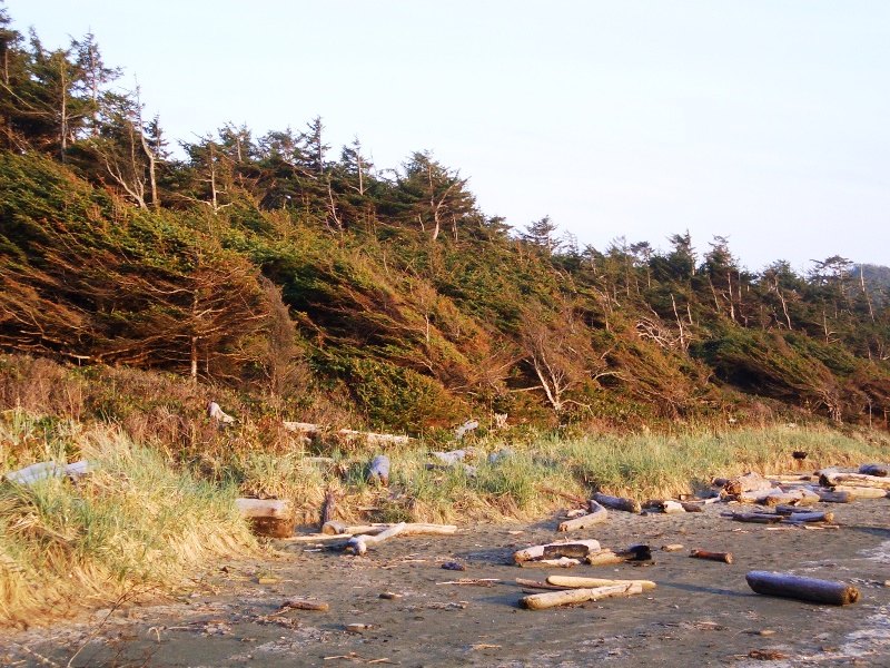 Tofino Strand