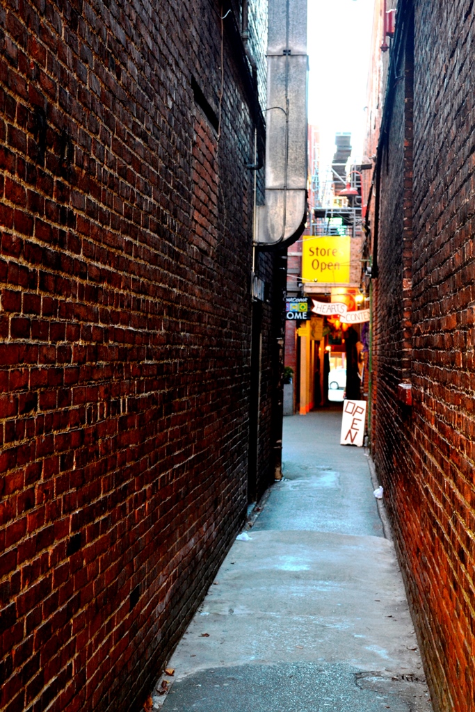 Victoria Fan Tan Alley