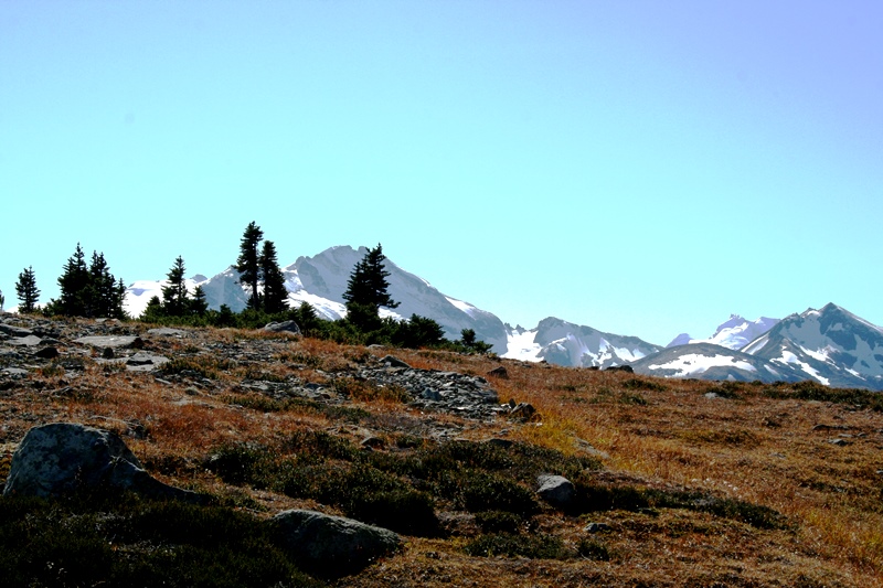 Whistler Mountain Hike